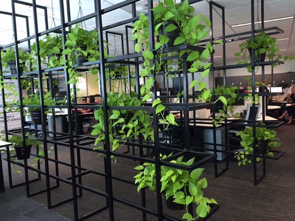 vach ngan cay xanh 4